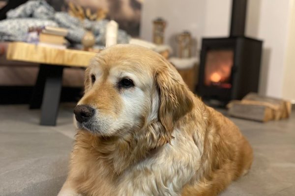 336614321_540402151453061_7722349192763880374_n